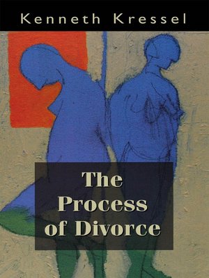 cover image of The Process of Divorce